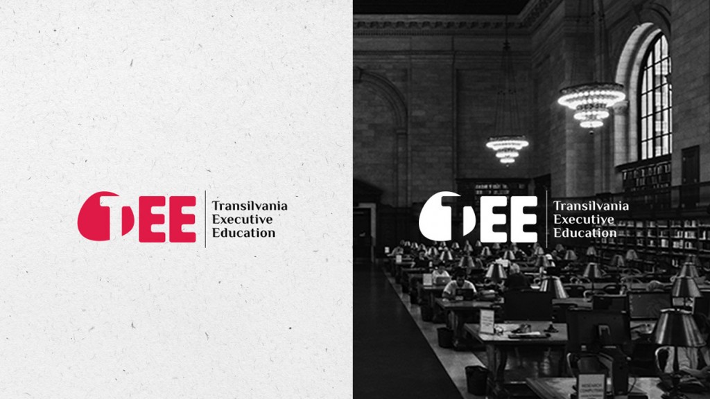 REBRANDING TRANSILVANIA EXECUTIVE EDUCATION Footer Gallery Picture